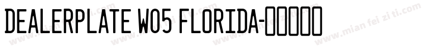 Dealerplate W05 Florida字体转换